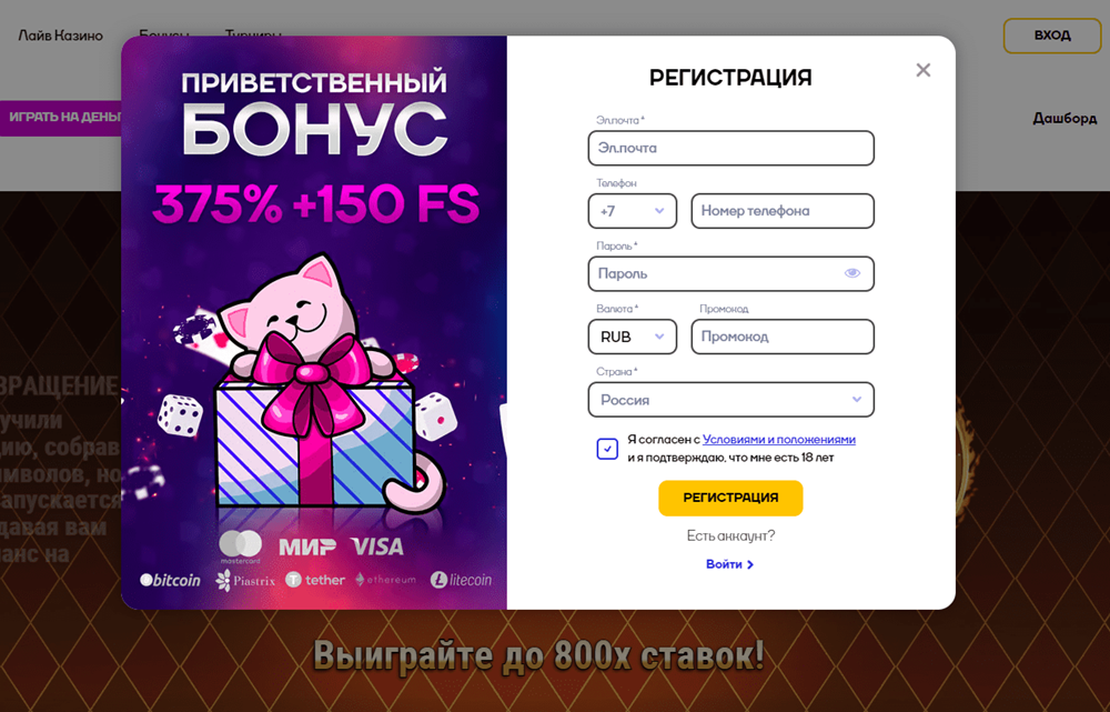 cat casino официальный сайт